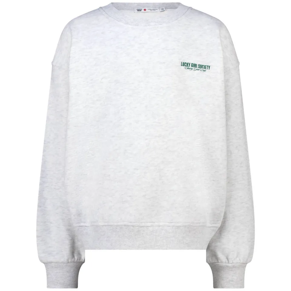 America Today sweater met backprint - light grey, foto 2
