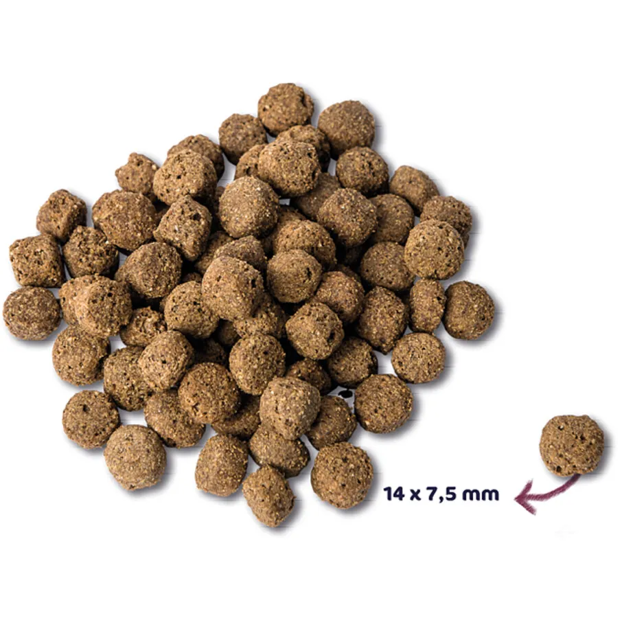 Renske Super Premium Adult hondenvoer oceaanvis 12 kg, foto 2