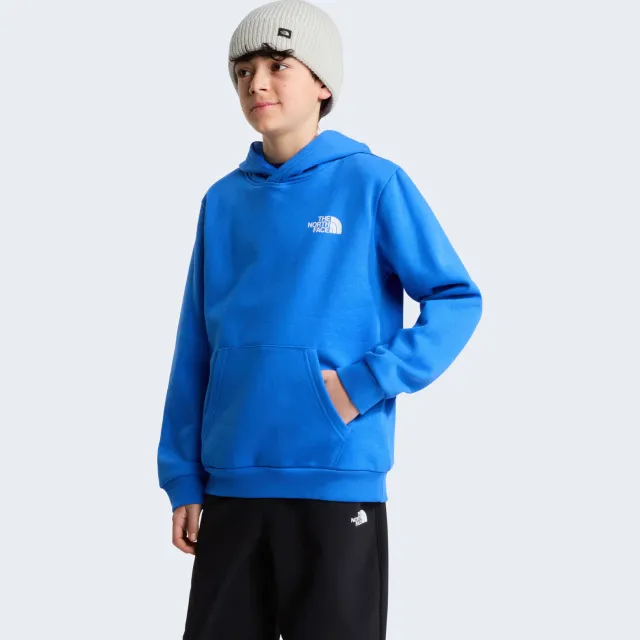 The North Face Evolution Box NSE sweater met backprint - blauw