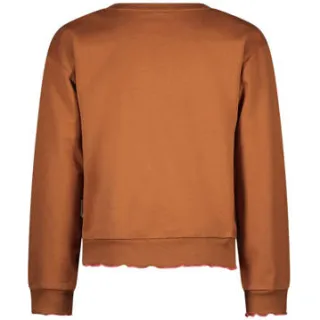 B.Nosy sweater bruin, foto 3