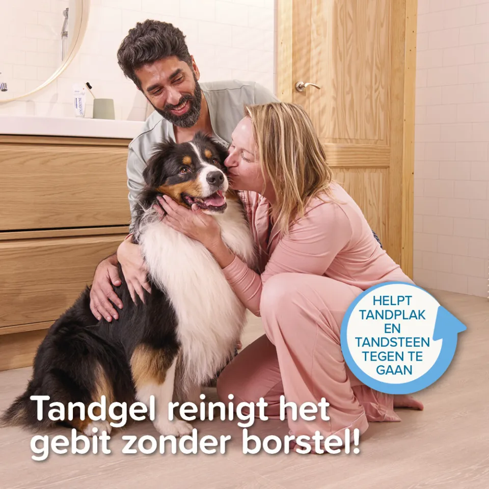Beaphar tandgel voor hond en kat, foto 4