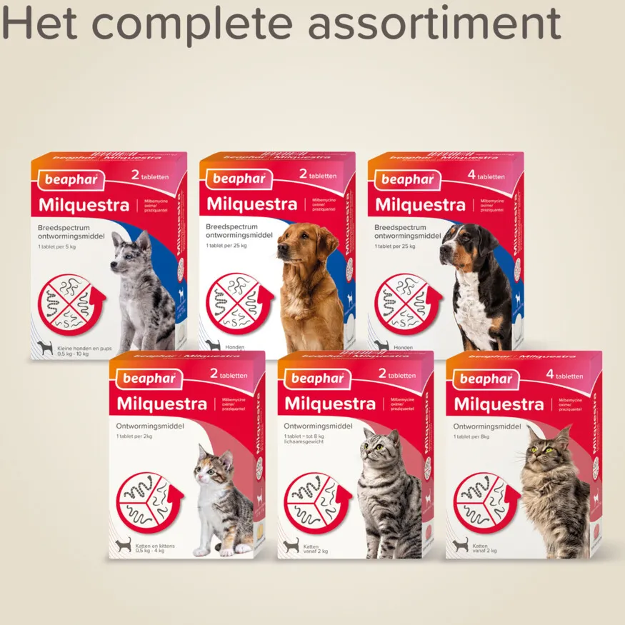 Beaphar Milquestra ontwormingstabletten kat, foto 5