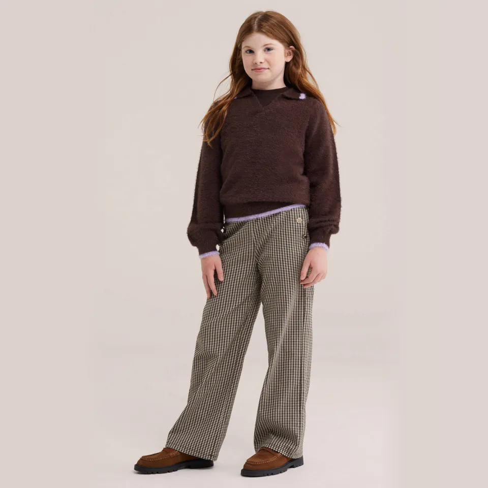 WE Fashion gebreide trui - donkerbruin/lila