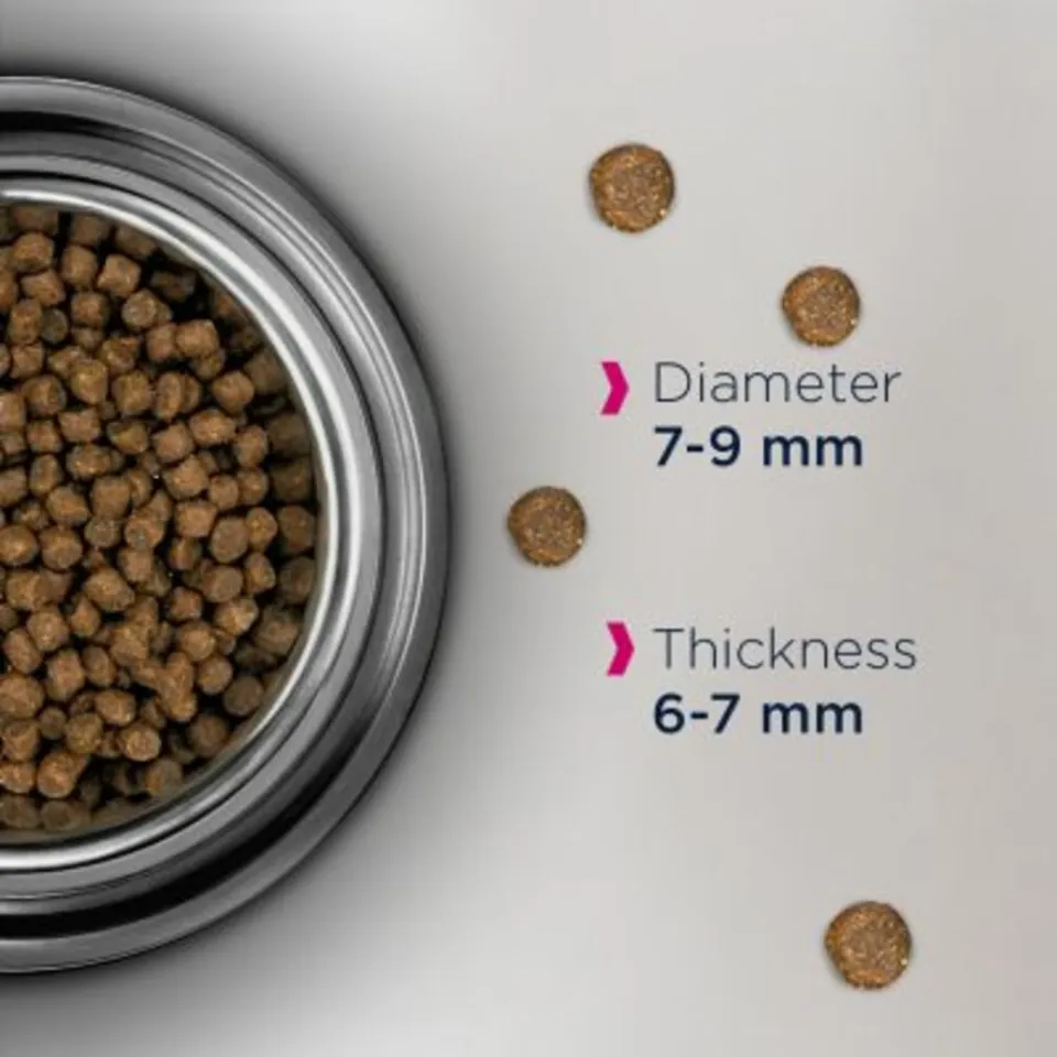 Eukanuba Adult Hairball Control droogvoer kip, foto 3