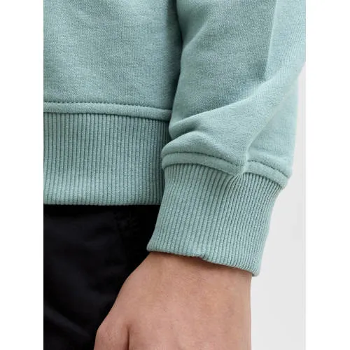 Jack & Jones JUNIOR hoodie blauw, foto 4