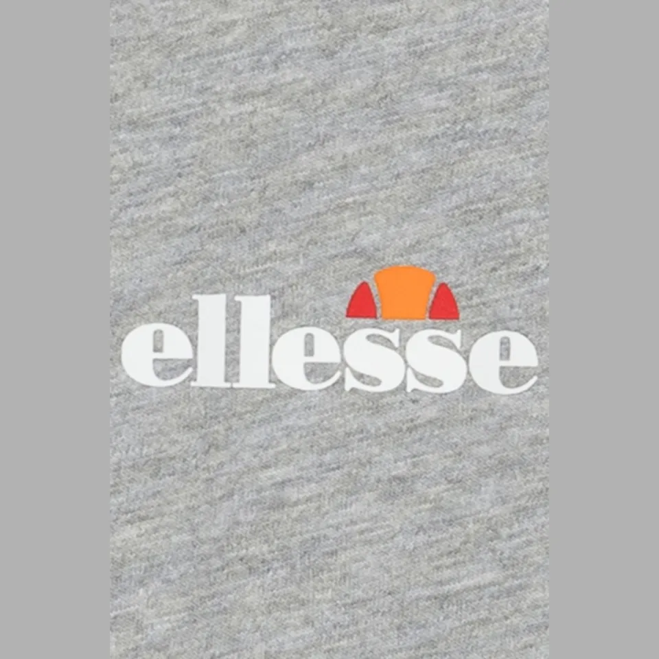 Ellesse T-shirt lichtgrijs, foto 4