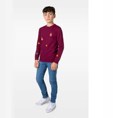 OppoSuits sweater X-Mas Icons met all over print bordeaux, foto 3