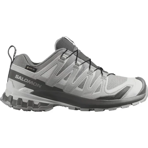 Salomon XA Pro 3D V9 GTX wandelschoenen grijs