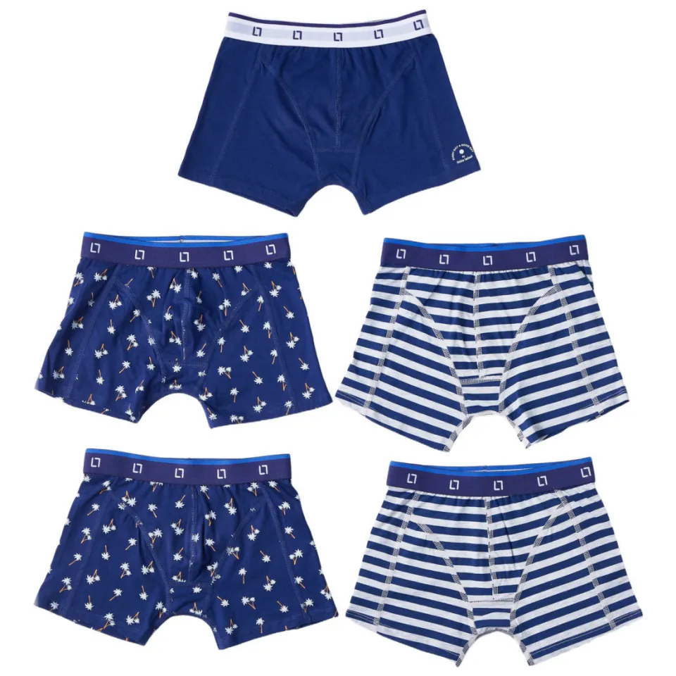 Little Label boxershort blauw set van 5, foto 2