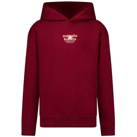 Cars hoodie met backprint - donkerrood Sweater Backprint