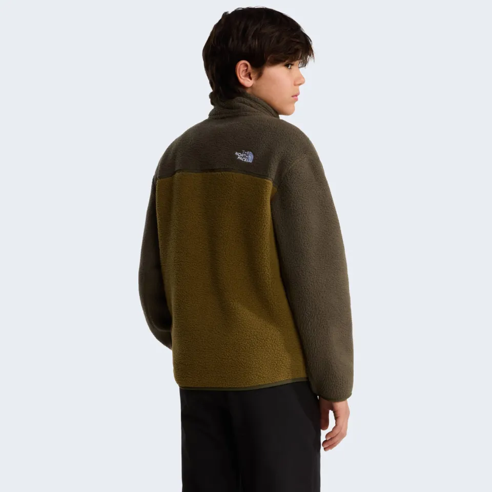 The North Face sweater - groen/taupe