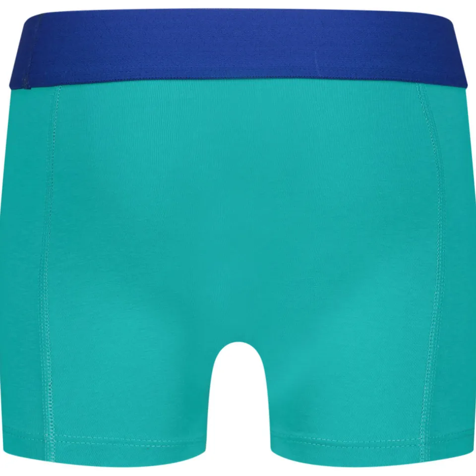 Vingino boxershorts set van 5 blauw/aqua/grijs melange, foto 7