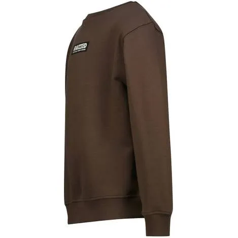 Raizzed rechtvallende sweater met logo - bruin, foto 3