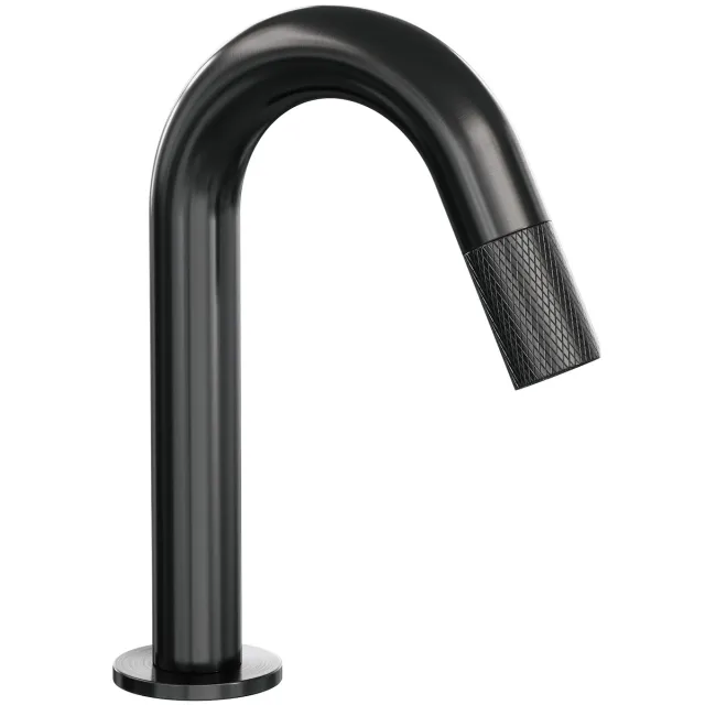 Brauer Opbouw Fonteinkraan Brauer Gunmetal Carving Edition Met Gebogen Uitloop Gunmetal Geborsteld PVD