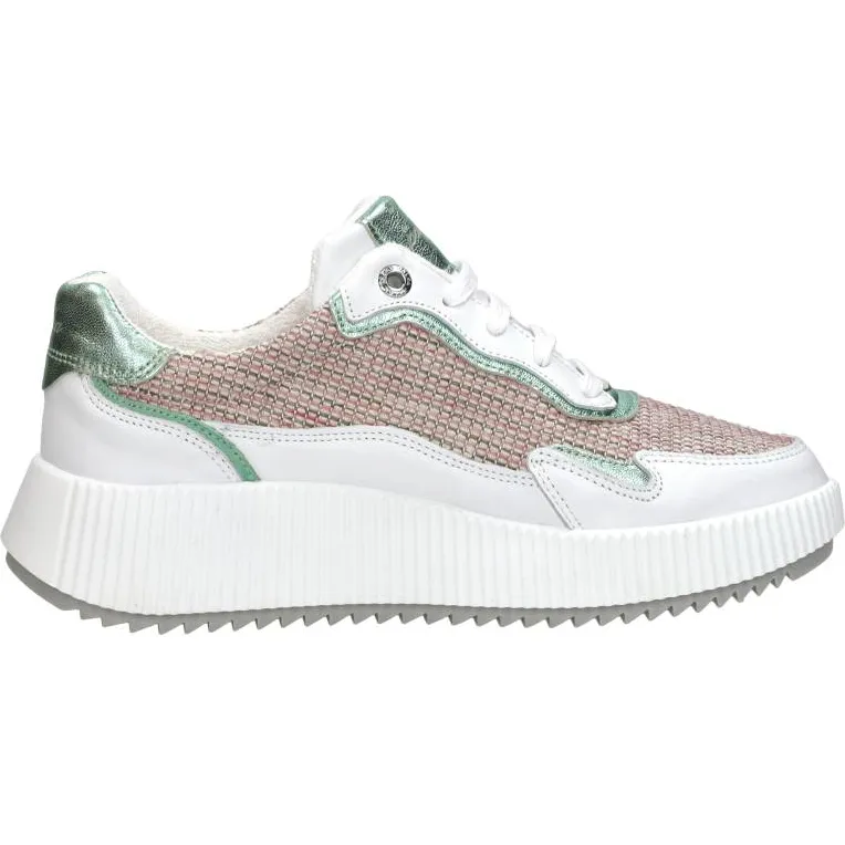 Palpa Chavi lage sneaker wit Groen