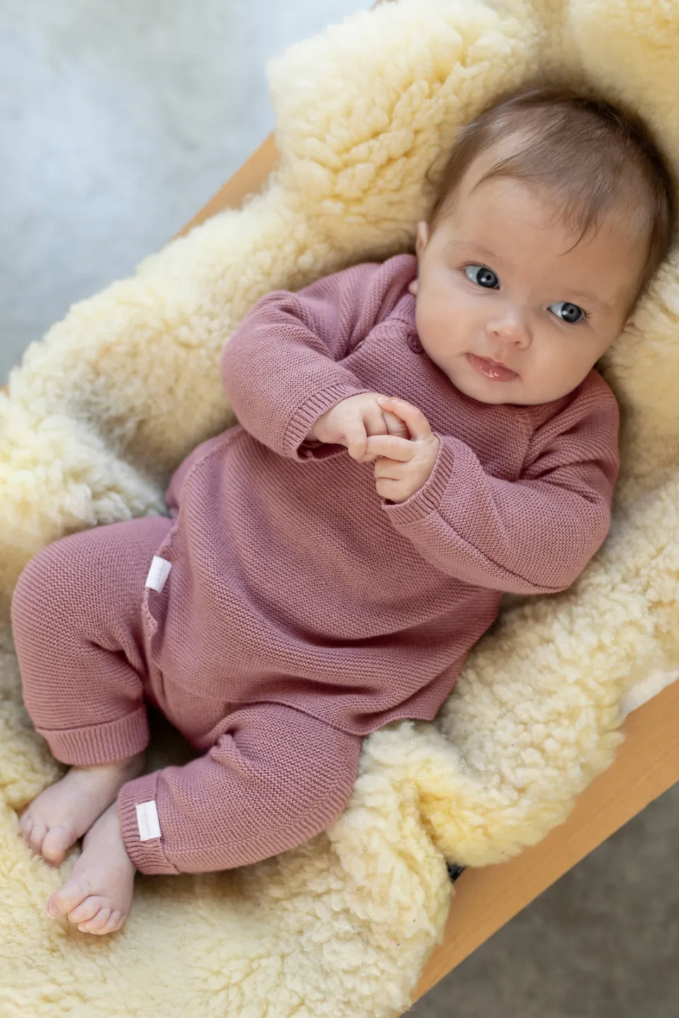 Noppies baby katoenen gebreide babybroek mauve