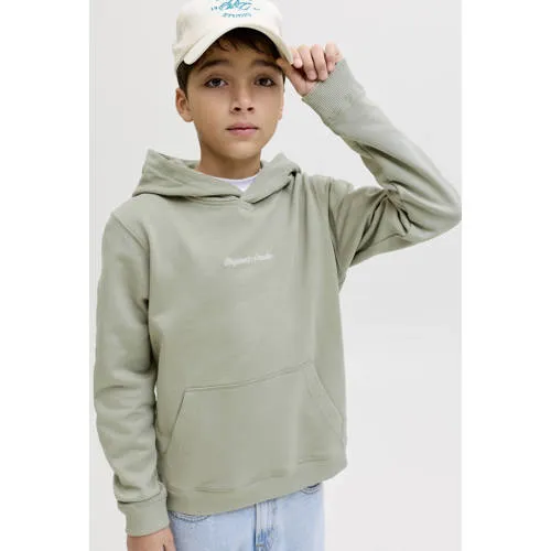Jack & Jones JUNIOR hoodie lichtgroen, foto 3