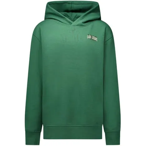 Cars hoodie met backprint - donkergroen Sweater Backprint