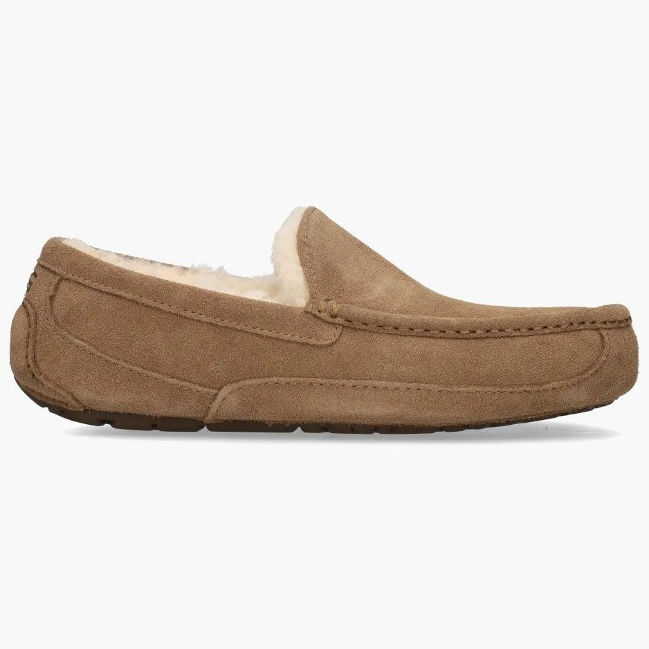 Ugg ® Ascot voor heren in Brown, Suede Light Bronze