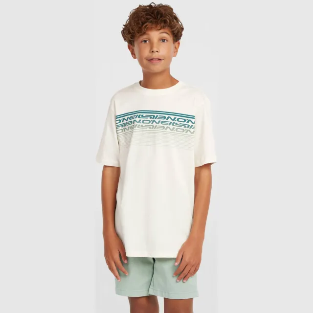 O'Neill T-shirt wit met print, foto 5