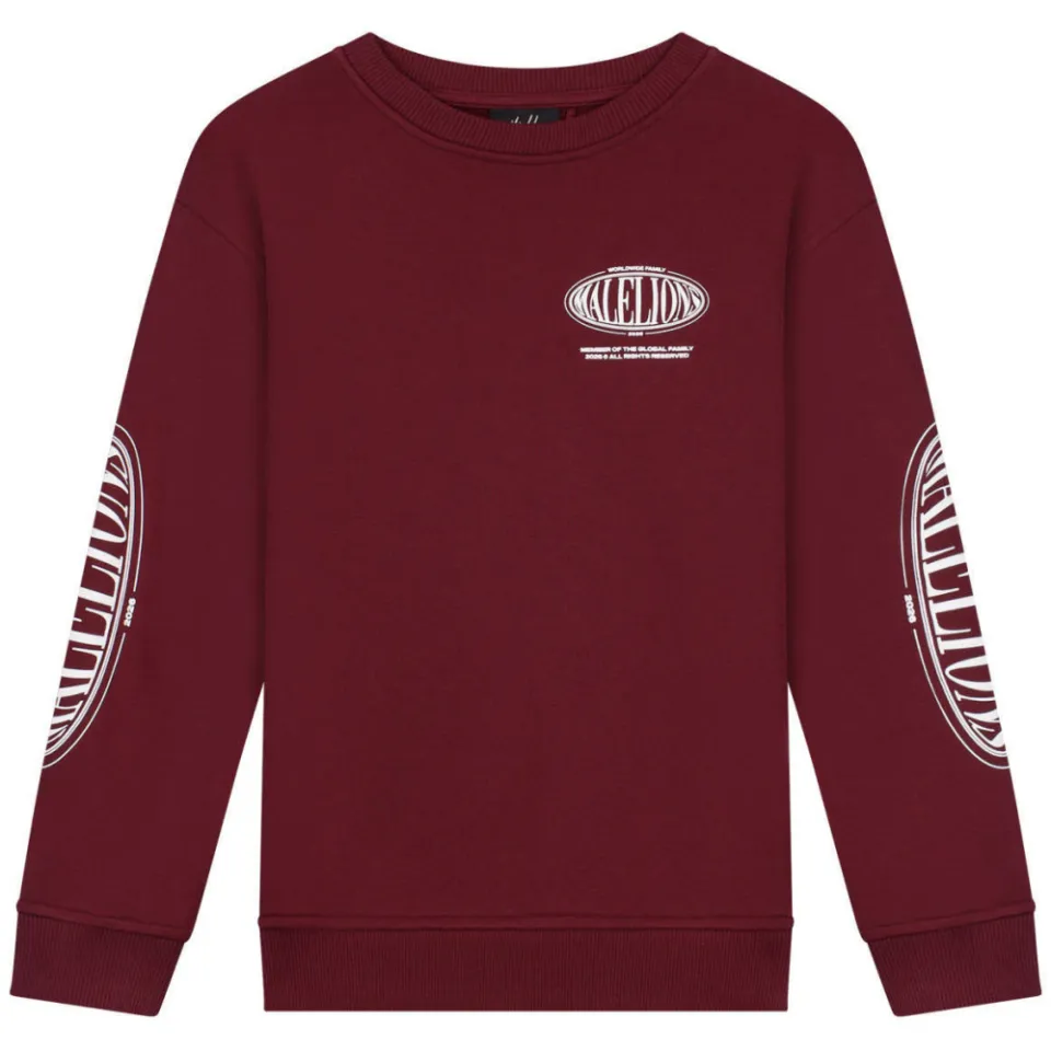 Malelions sweater met backprint - donkerrood, foto 2