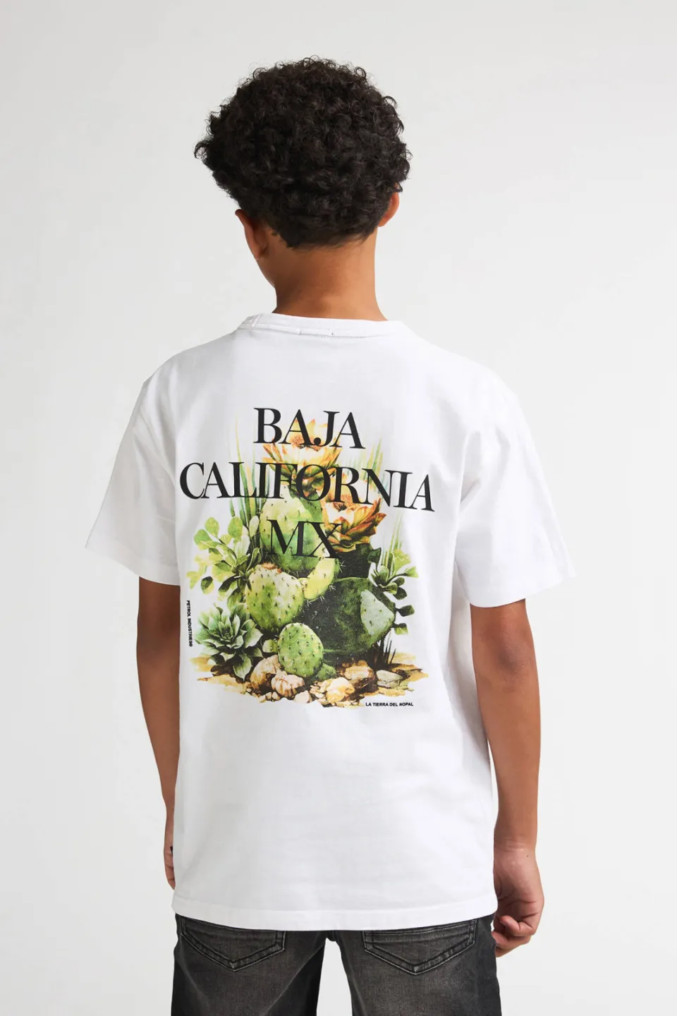 Petrol Industries t-shirt met backprint wit, foto 7