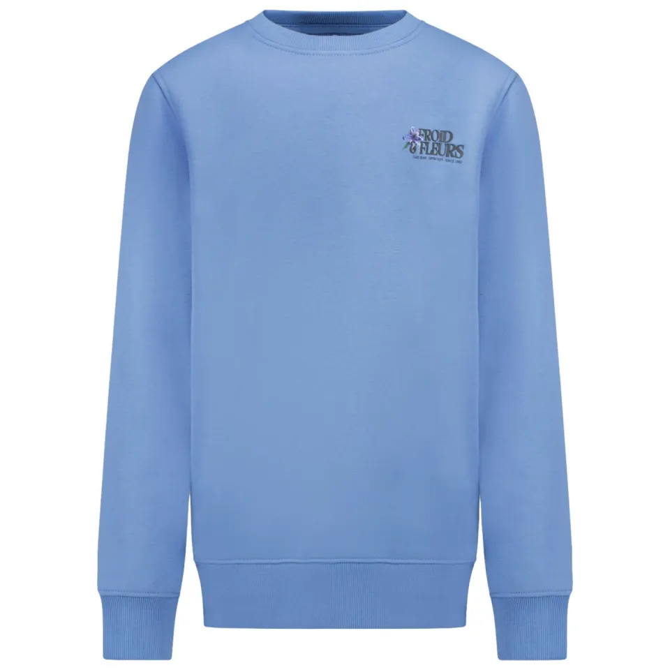 Cars oversized sweater met backprint grijsblauw, foto 2