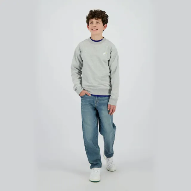Raizzed sweater grijs Grijs melange