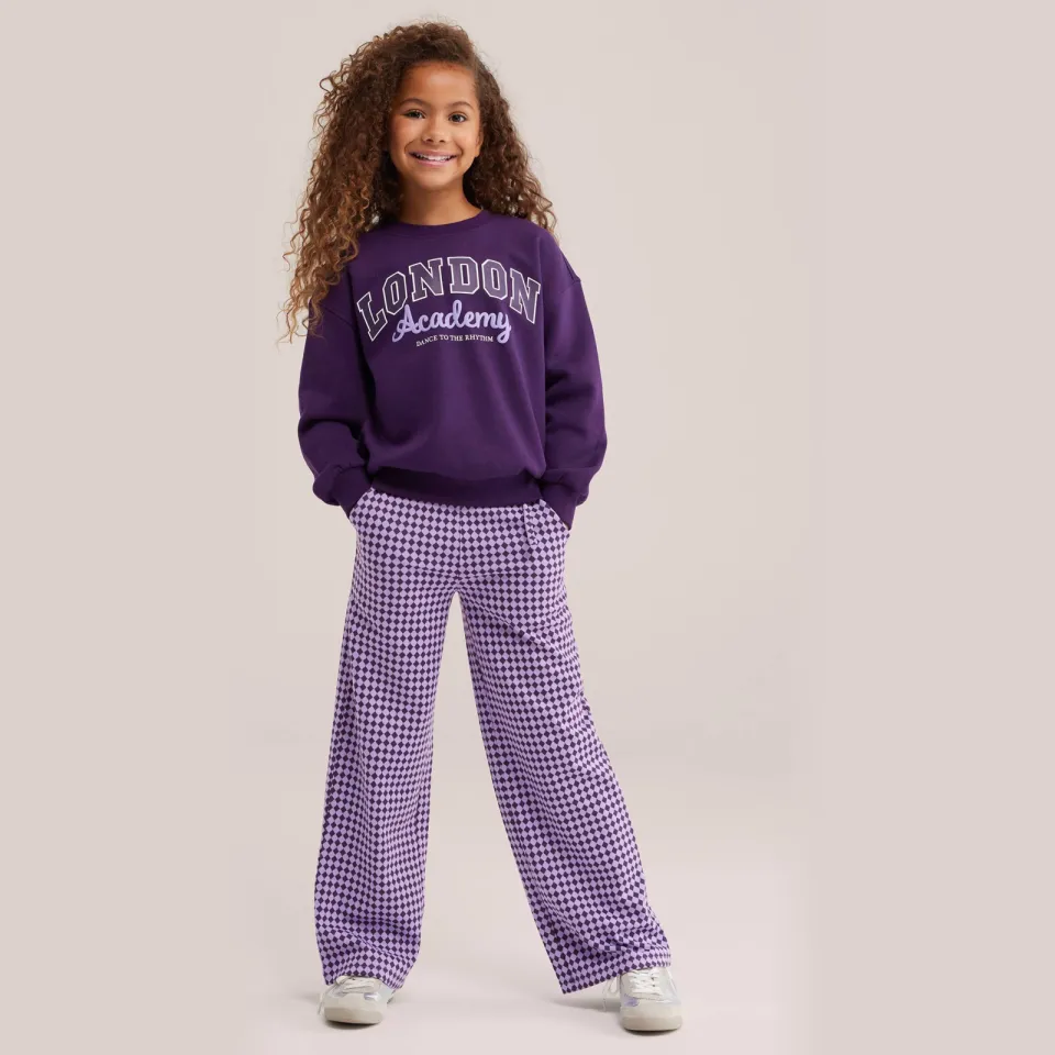 WE Fashion straight leg geruite broek paars Paars/donkerpaars