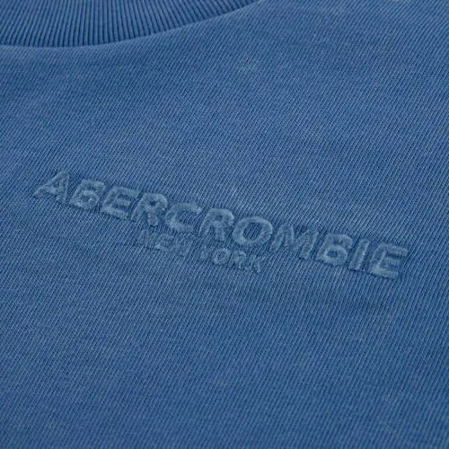 Abercrombie & Fitch jersey t-shirt blauw, foto 3