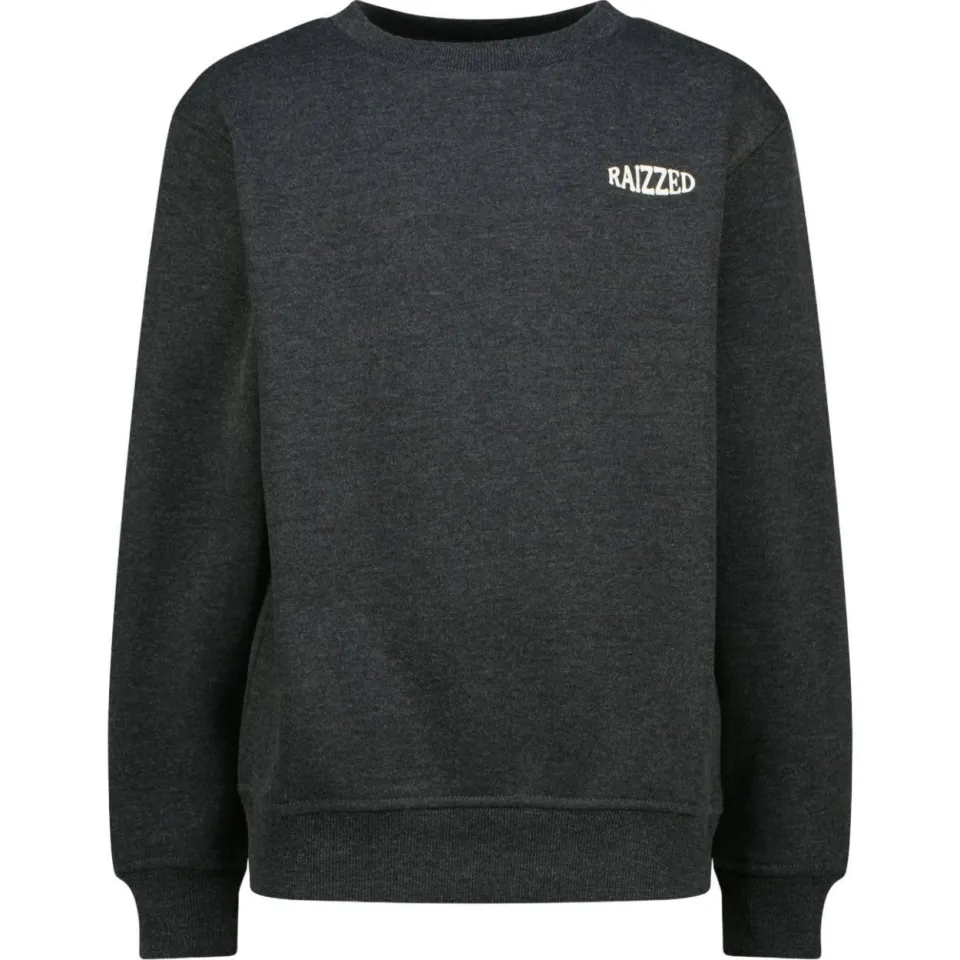 Raizzed rechtvallende sweater met backprint - grijs, foto 2