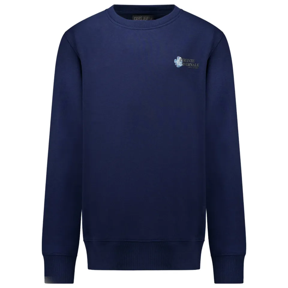 Cars oversized sweater met backprint - marineblauw, foto 2
