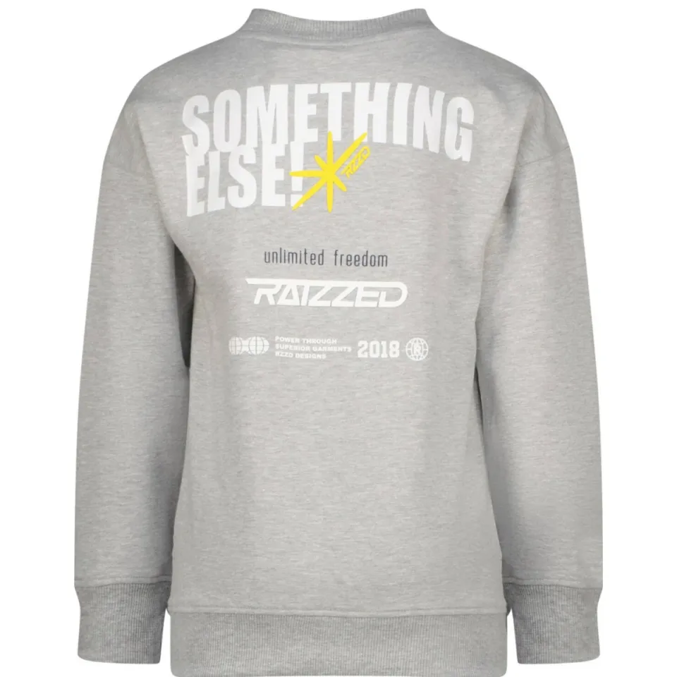 Raizzed sweater grijs, foto 5