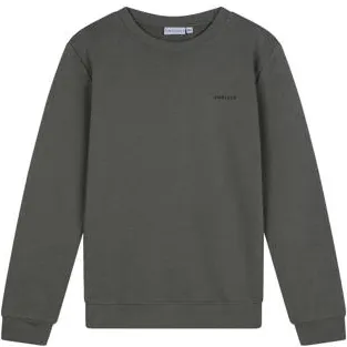 Ambique sweater donkergroen Logo | Sweater van Ambique Mosgroen
