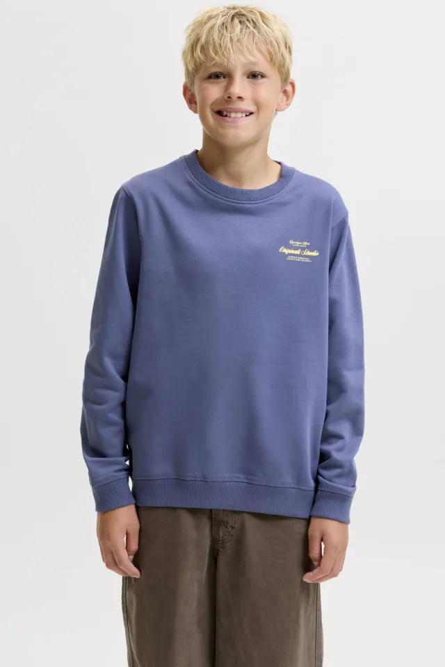 Jack & Jones JUNIOR sweater met backprint - blauw