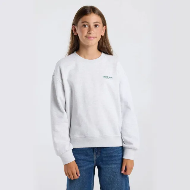 America Today sweater met backprint - light grey light grey melange