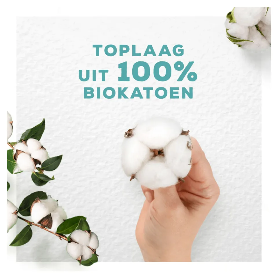 Always Cotton Protection Ultra maandverband normal met vleugels, foto 3