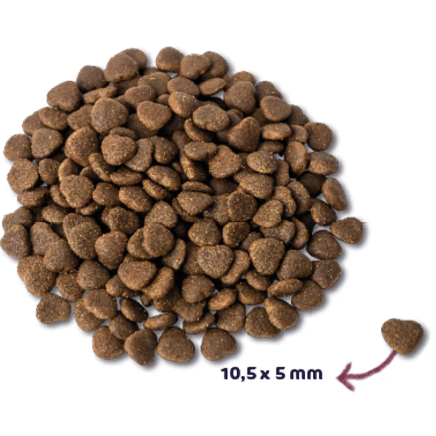Renske Super Premium Adult zalm kattenvoer, foto 3