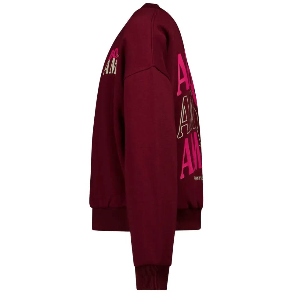 Cars sweater met backprint - donkerrood/roze, foto 3