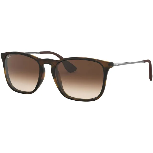 Ray-Ban Chris 0RB4187 zonnebril bruin