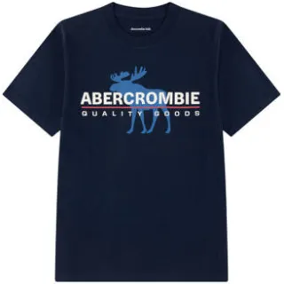 Abercrombie & Fitch t-shirt met print donkerblauw