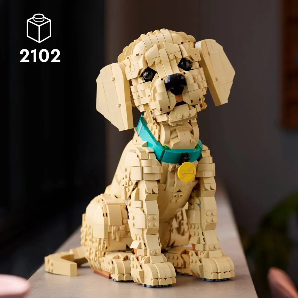 Lego Icons Golden Retriever Puppy Bouwpakket met Dieren Figuur 11384, foto 6