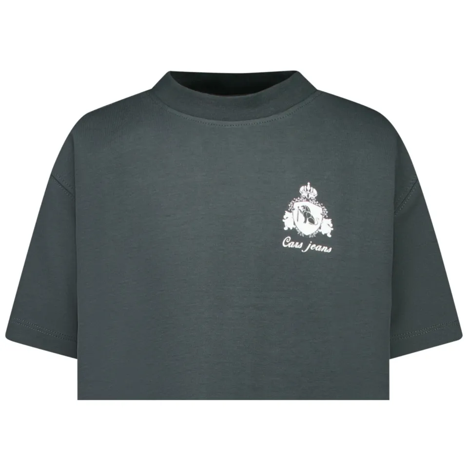 Cars T-shirt met backprint antraciet, foto 5