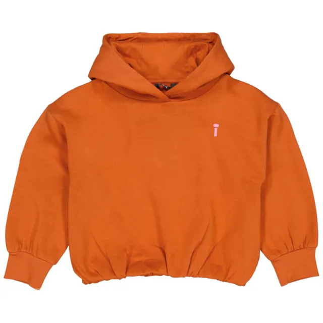 QPI hoodie met backprint - oranje