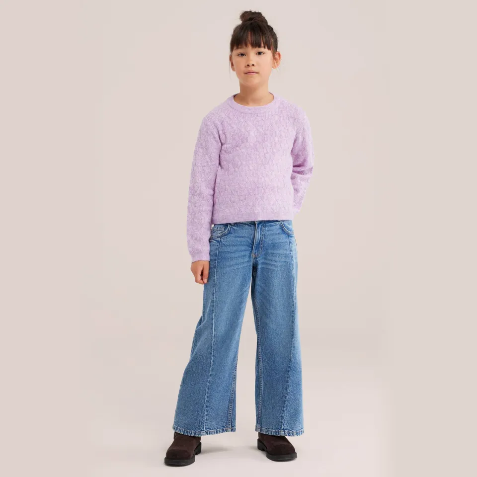 WE Fashion gebreide trui met wol - lila