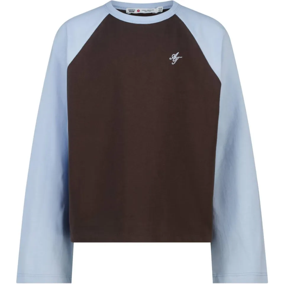 America Today longsleeve bruin/lichtblauw, foto 3