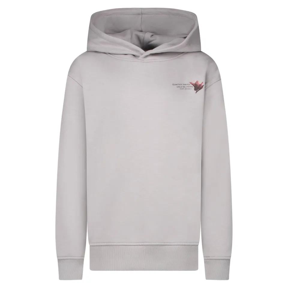 Cars hoodie met backprint - grijs, foto 2