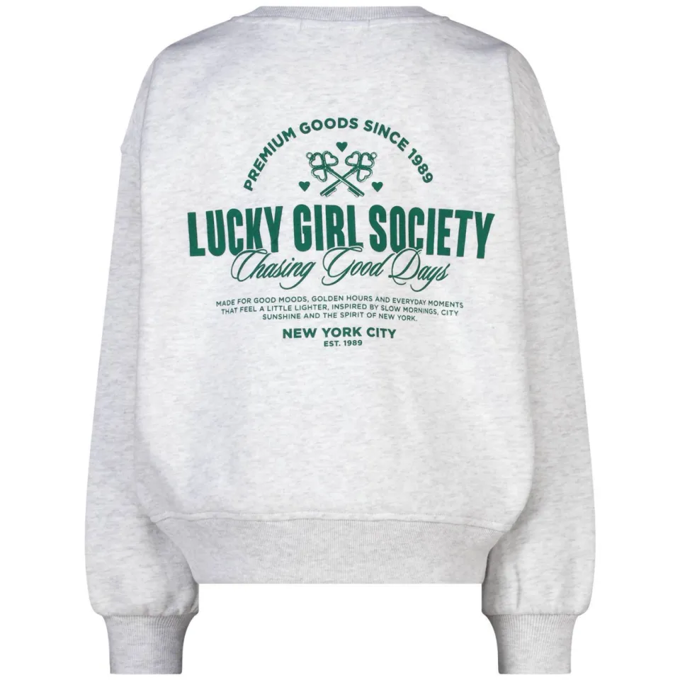 America Today sweater met backprint - light grey, foto 4