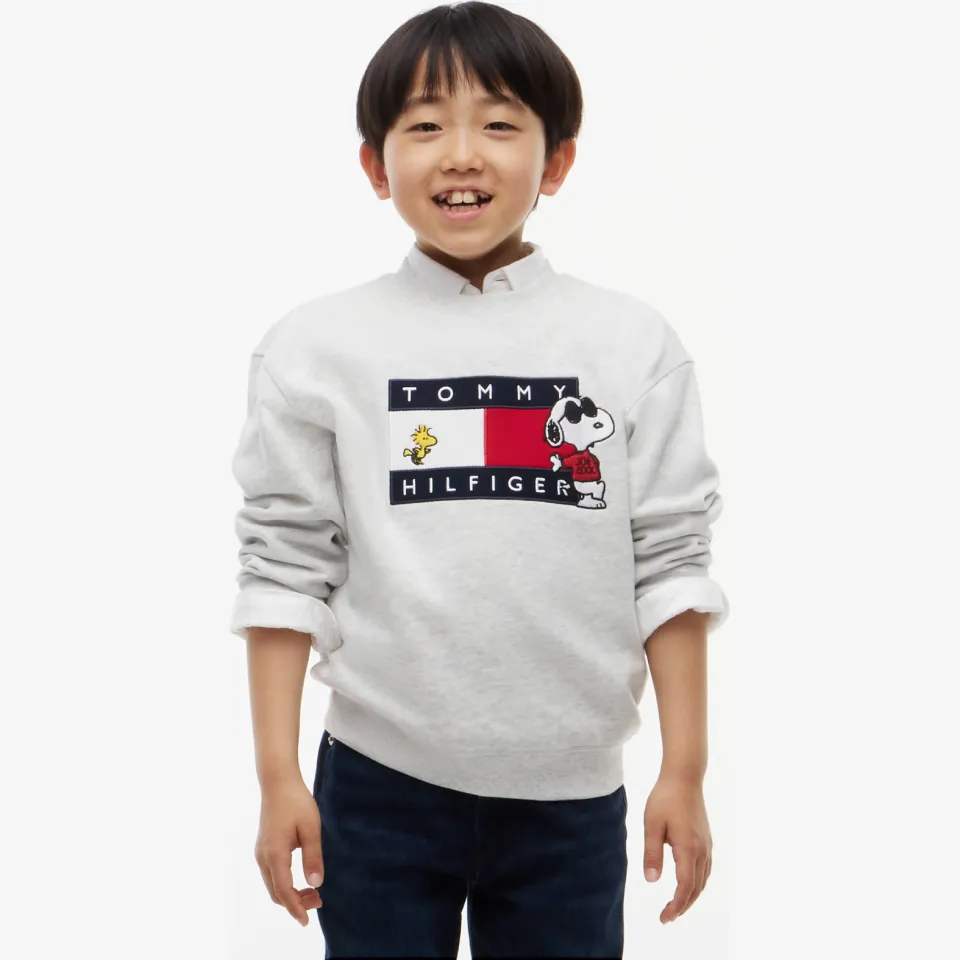 Tommy Hilfiger x Peanuts Snoopy sweater grijs melange, foto 4
