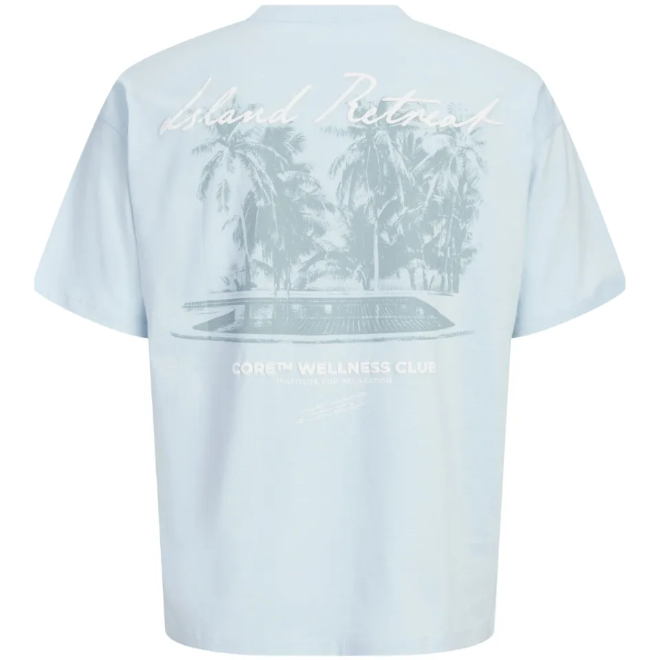 Jack & Jones T-shirt met backprint lichtblauw, foto 5
